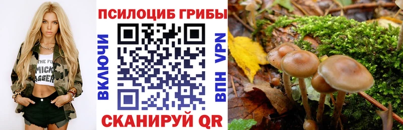 Псилоцибиновые грибы GOLDEN TEACHER  как найти закладки  hydra   Сычёвка 